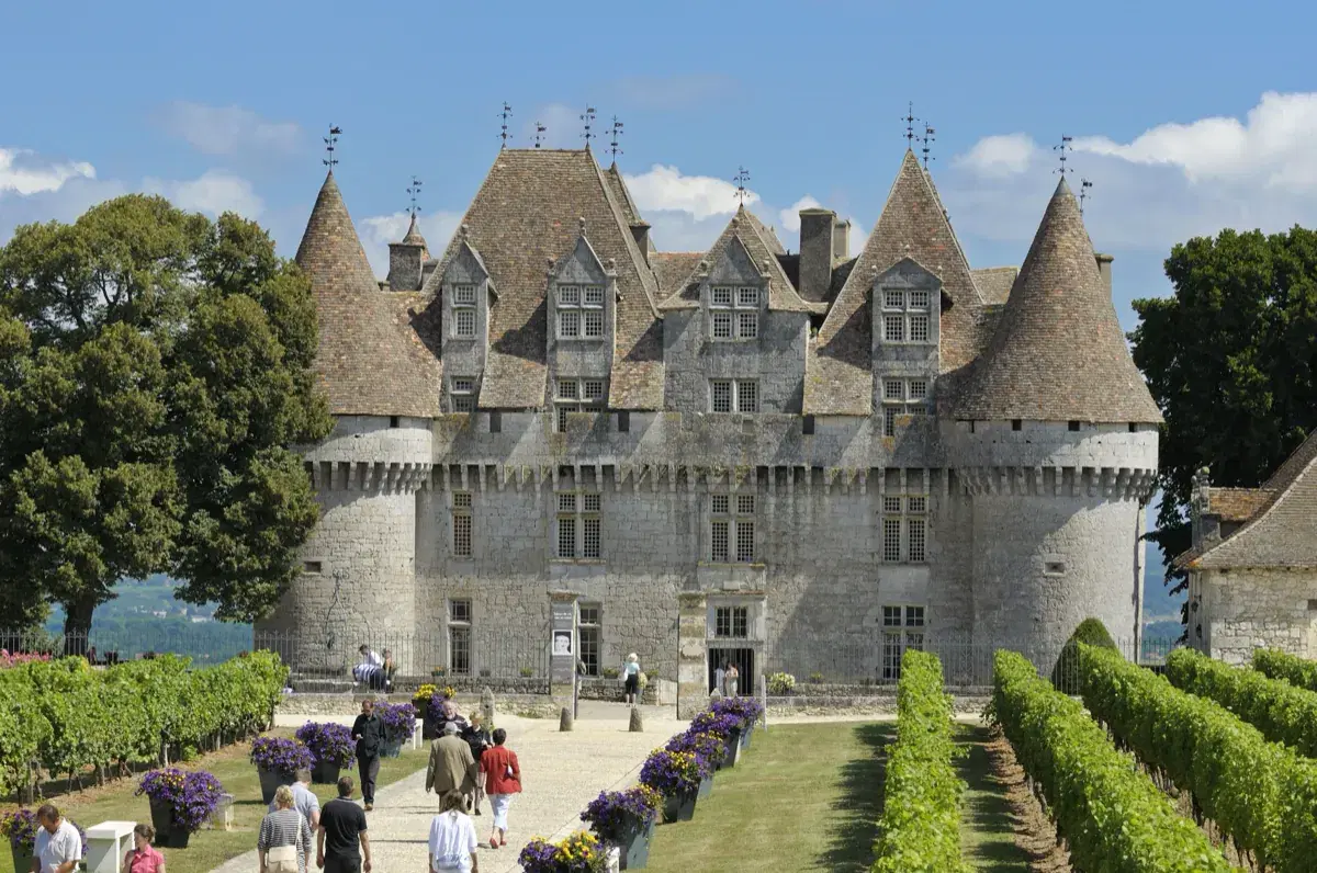 Visiteurs dans l'allée du château de Monbazillac, entre les rangs de vigne