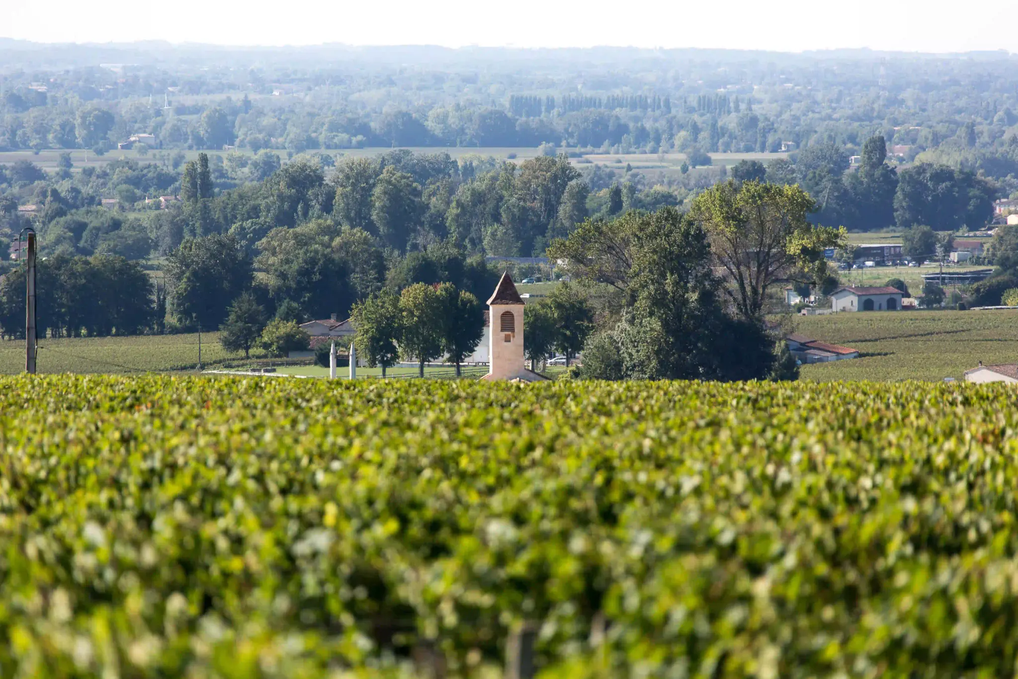 Chapelle de la Madeleine au milieu du vignoble de Saint-Émilion